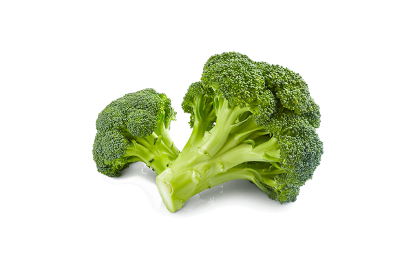 Three Carrot Vegetables - Image 4