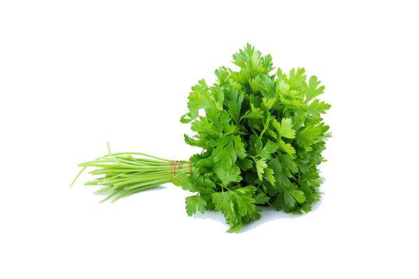 Lettuce Leaves - Image 3