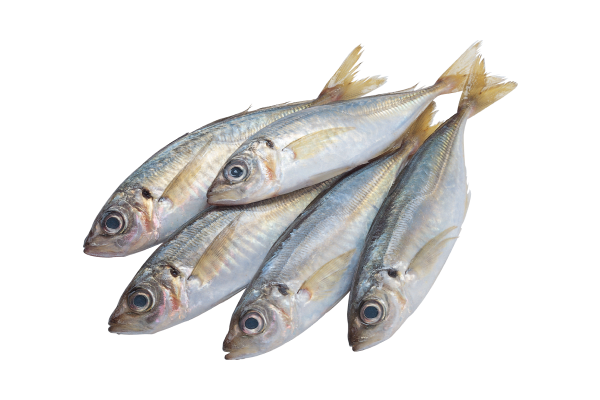 Monpura Fresh - Image 3